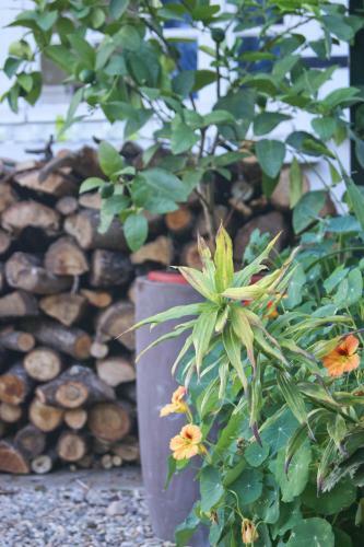 Bed & Breakfast Le Grenier de Louisette