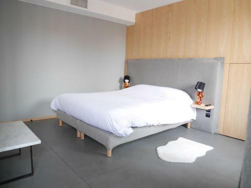 Apartamento Le Chat Qui Dort - Suites