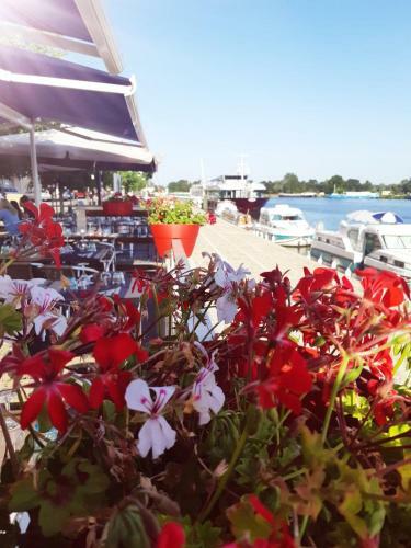 Bed & Breakfast Les Chambres de La Cotini�re