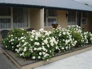 Hagley Park Motel