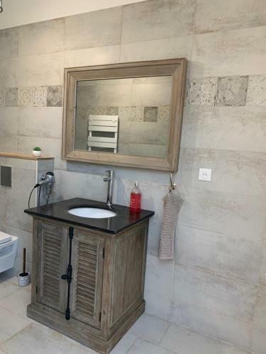 Bed & Breakfast Loft Entier Ferme de Mareuil 77 15min Disney