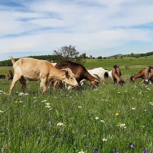 Bed & Breakfast G�te Et Chambre D'h�tes � La Ferme