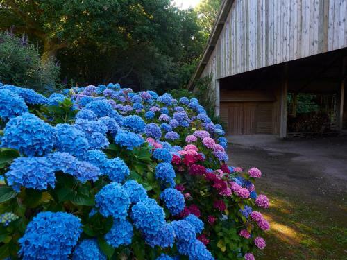 Le Petit G�te De Minuellou