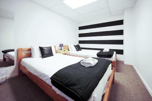 Albergue The Setup On Dixon