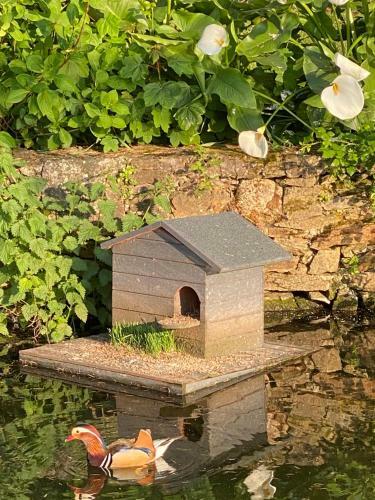 Hostal Le Celadon