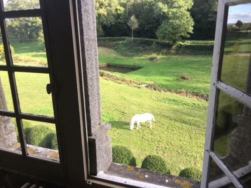 Bed & Breakfast Chateau De Bourgon
