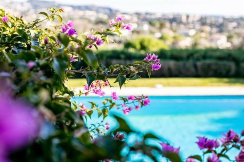 Apartamento Villa Pibonson By Riviera Holiday Homes