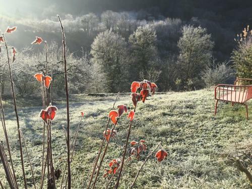 Hostal Villa Meyriem