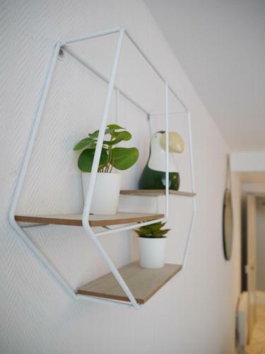 Apartamento Les Cosy de Nancy - Le Rep�re Du Roi Stanislas 4�toiles