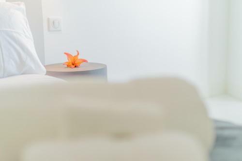 Apartamento Sunlight Properties - Bo - Hyper Central, Balcony, 5 Mins To The Beach