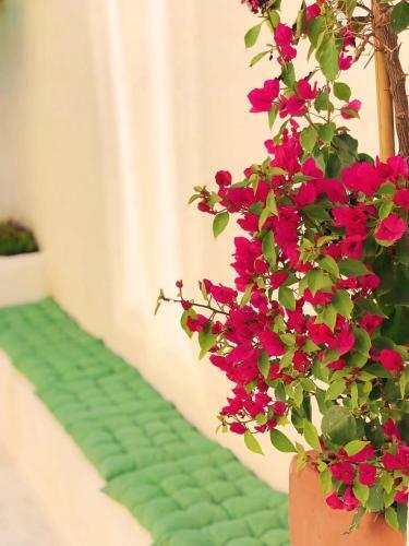 Villa Mazet Proven�al D'exception Au Coeur de Nimes