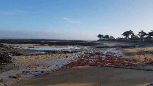 Vacances D�tente � Noirmoutier-en-l'ile