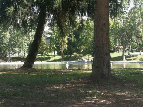Apartamento Llac II