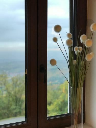 Bed & Breakfast Les Chambres Du Haut-koenigsbourg
