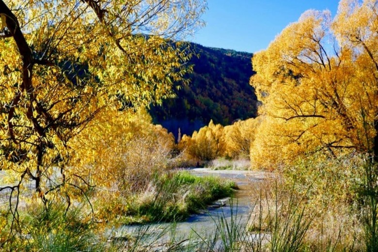 Motel Shades Of Arrowtown