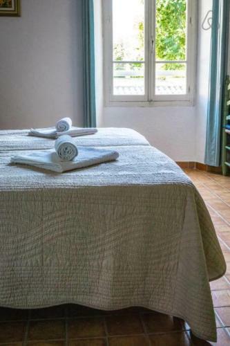 Stunning Farmhouse With Heated Private Pool In Provence