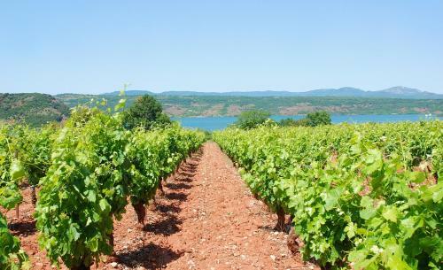 Nature Holiday's Domaine La Grenati�re