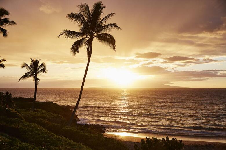 Hotel Four Seasons Resort Maui At Wailea