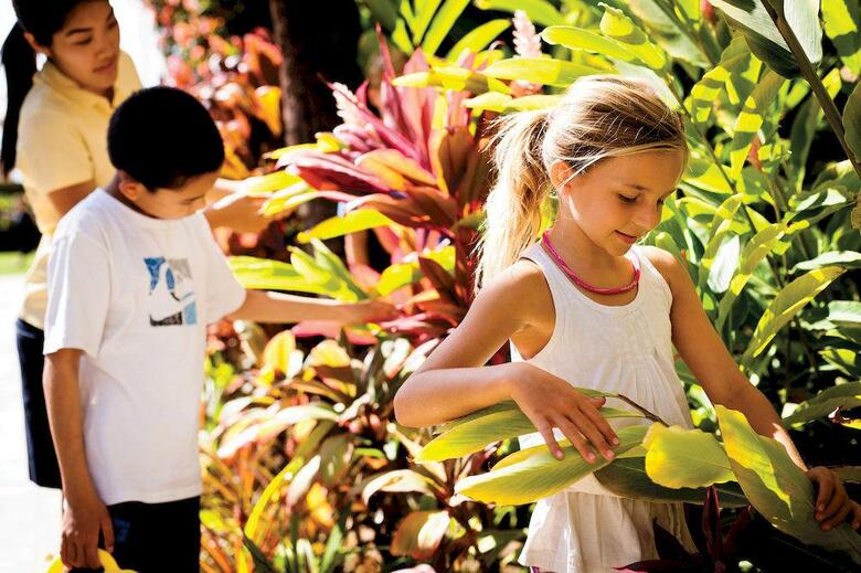 Hotel Four Seasons Resort Maui At Wailea