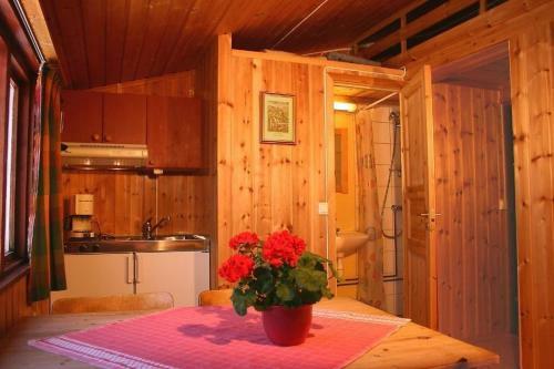 Hotel Putten Seter