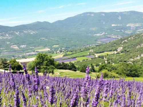 Holiday Home Le C�dre - Rsb100
