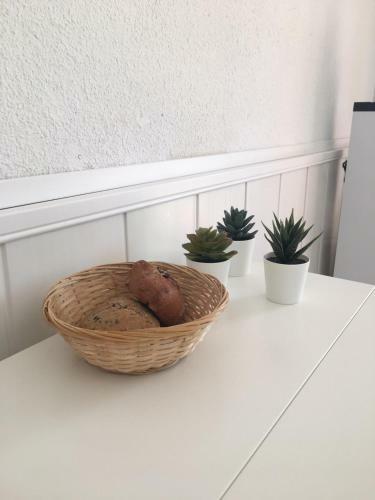 Apartamento Bleut II