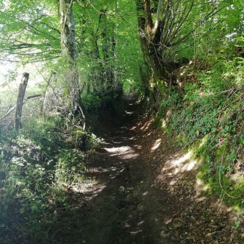 Bed & Breakfast La Cl� Du Maumont