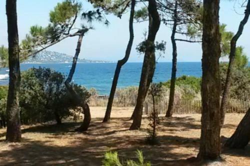 Apartamento Flat With Swimming Pool At 200m From The Beach