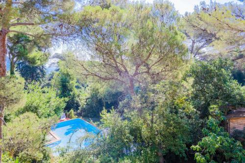 Villa La Brise Du Cap By Riviera Holiday Homes