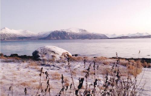 Holiday Home Myre 41