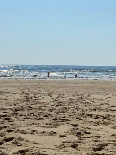 Camping Les Dunes de Contis