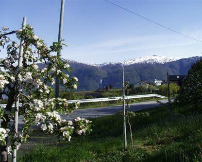Posada Sognefjord Guesthotel