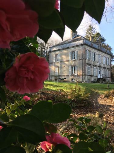 Bed & Breakfast Chateau De Beaulieu