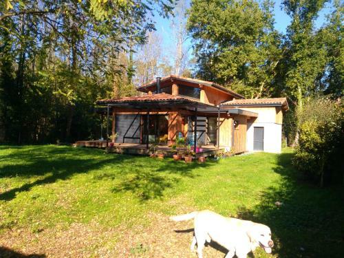 House With 3 Bedrooms In Saint Selve With Wifi