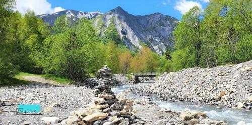 Chalet Individuel 12pers. Saint Sorlin D'arves