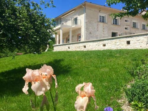 G�te Samognat, 3 Pi�ces, 5 Personnes - Fr-1-493-280