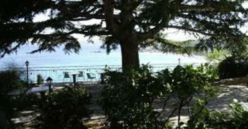 Apartamento Nice Flat On The Port Of Sanary