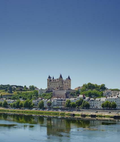 Apartamento Appartement Les Orchid�es Du Temple Saumur