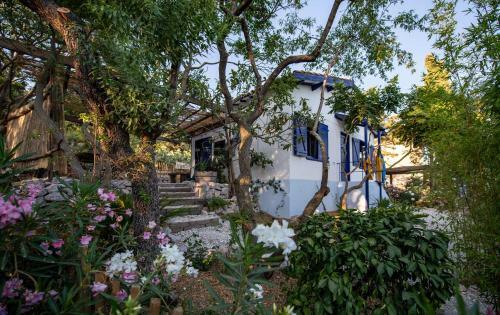 Les Maisons De P�cheurs