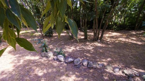 Camping Les Micocouliers