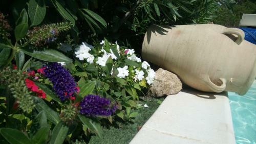 Hostal Chambres D'h�tes Les Iris
