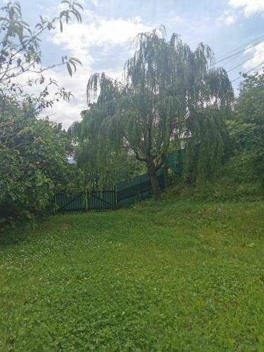 Chalet Du Para�s