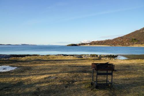 Tjeldsundbrua Camping