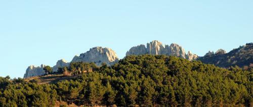 Bed & Breakfast Terre De Bacchus