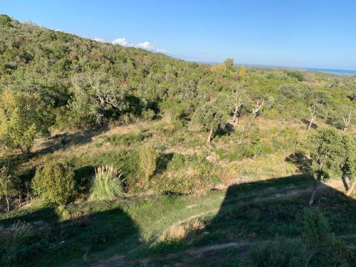 Apartamento La Cigale