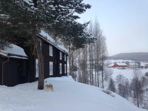 Apartamento Ivaregga Vinterstua
