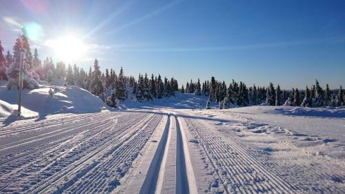 Nordseter Fjellstue