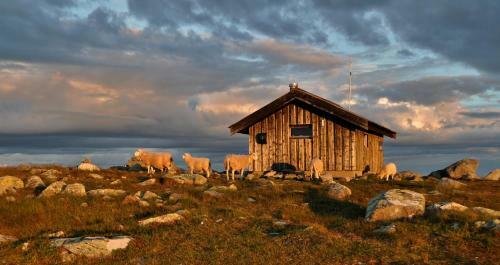 Nordseter Fjellstue