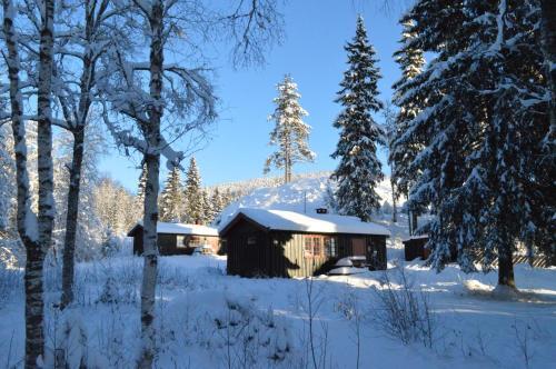 Lodge Trysil Hyttegrend