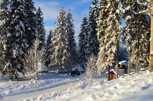 Lodge Trysil Hyttegrend